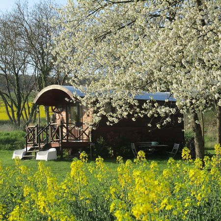 Châtillon-sur-Marne Roulotte Panoramique Du Moulin B&B 외부 사진