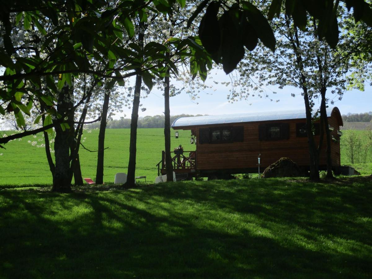 Châtillon-sur-Marne Roulotte Panoramique Du Moulin B&B 외부 사진